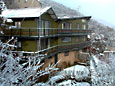 KaseeTN