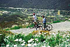 about thredbo