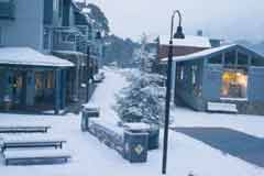 kt-wintr04-image23l-240
